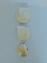 Drei Schmuckkästchen mit Muscheln